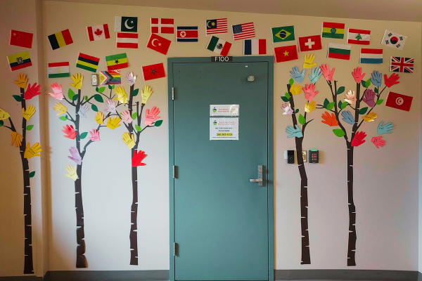 Welcome to our international school