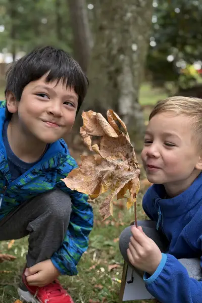 Social emotional learning